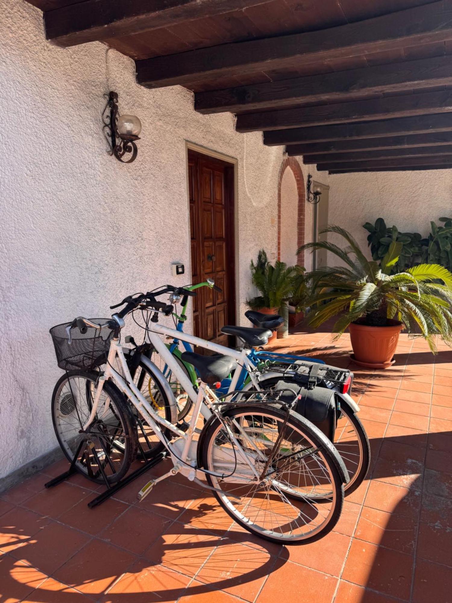Tra Forte Dei Marmi E Marina Di Massa - Il Melograno Exterior foto
